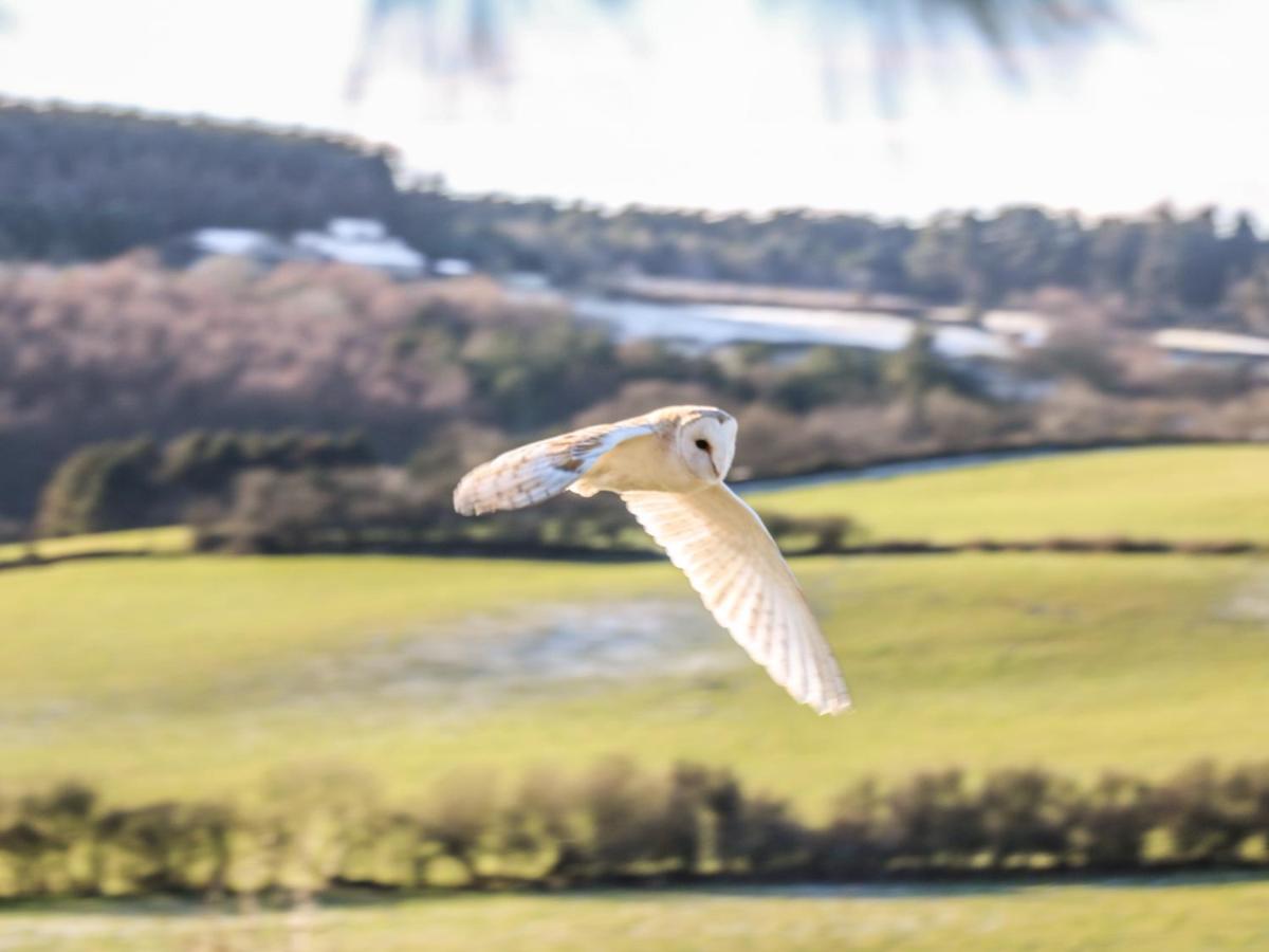 Honey Bee Cottage Scarborough Bagian luar foto